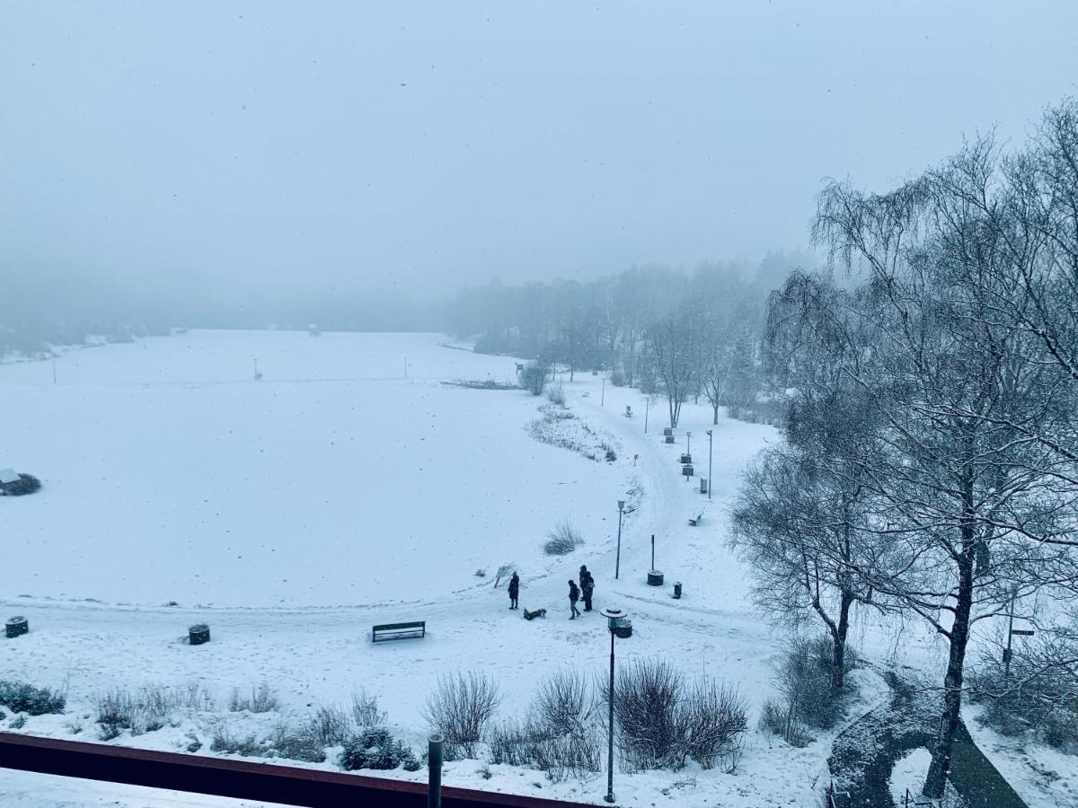 Apartment Seeblick Am Bocksberg - Hahnenklee "Vier Jahreszeiten" Goslar Kültér fotó