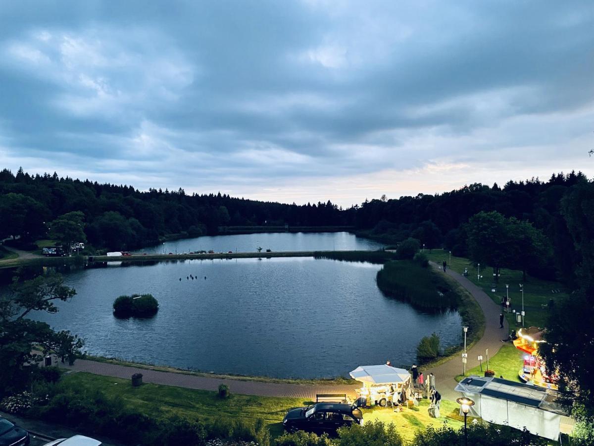 Apartment Seeblick Am Bocksberg - Hahnenklee "Vier Jahreszeiten" Goslar Kültér fotó